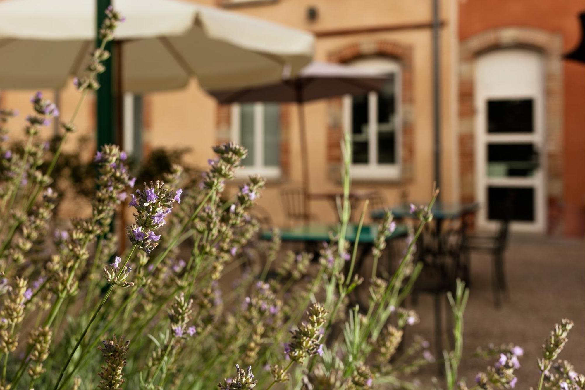 Ibis Styles Toulouse Lavaur Hotel Luaran gambar